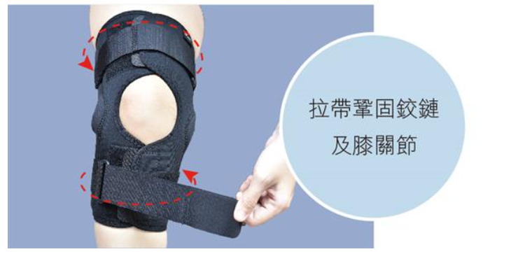 護托